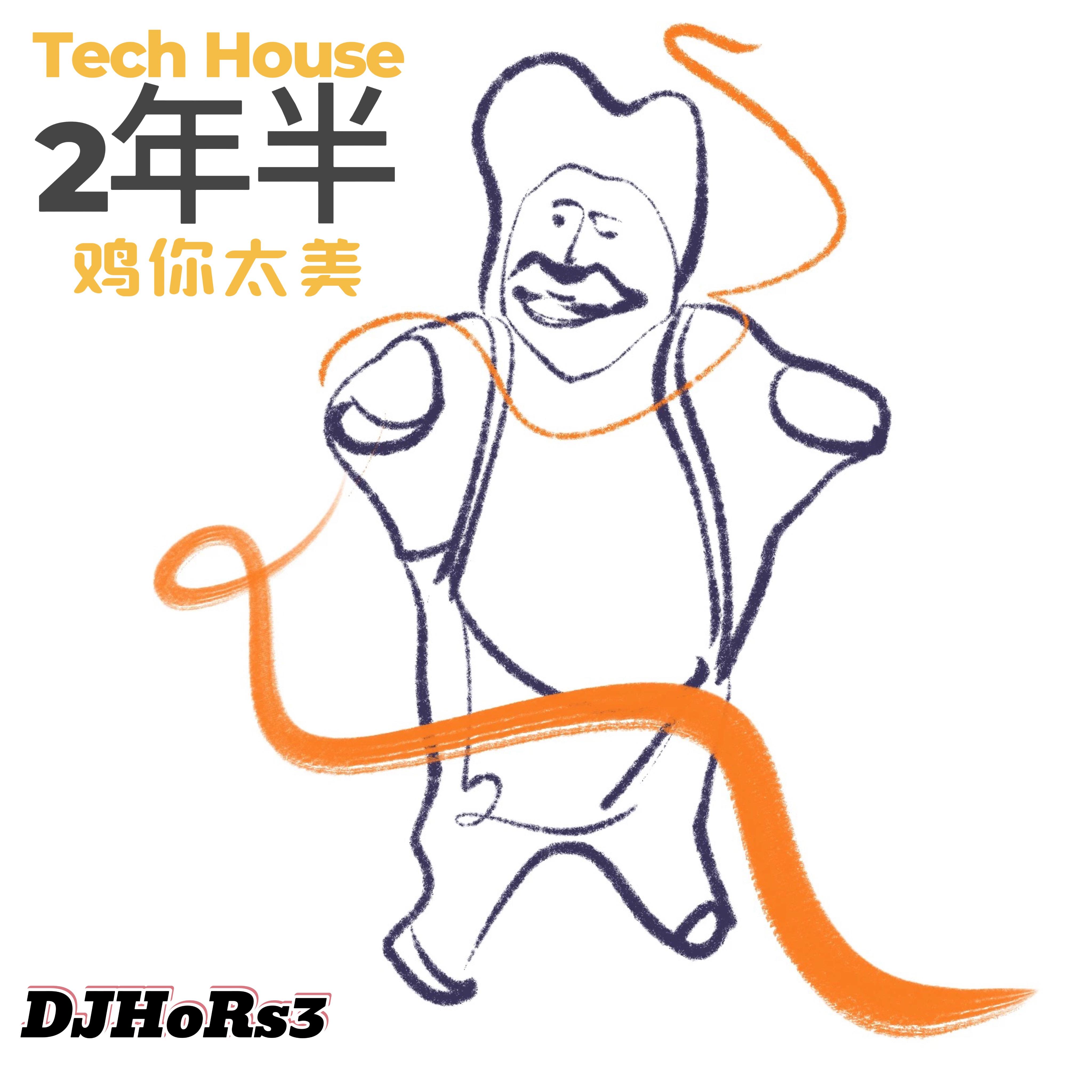 鸡你太美Techhouse（DJHoRs3 remix）