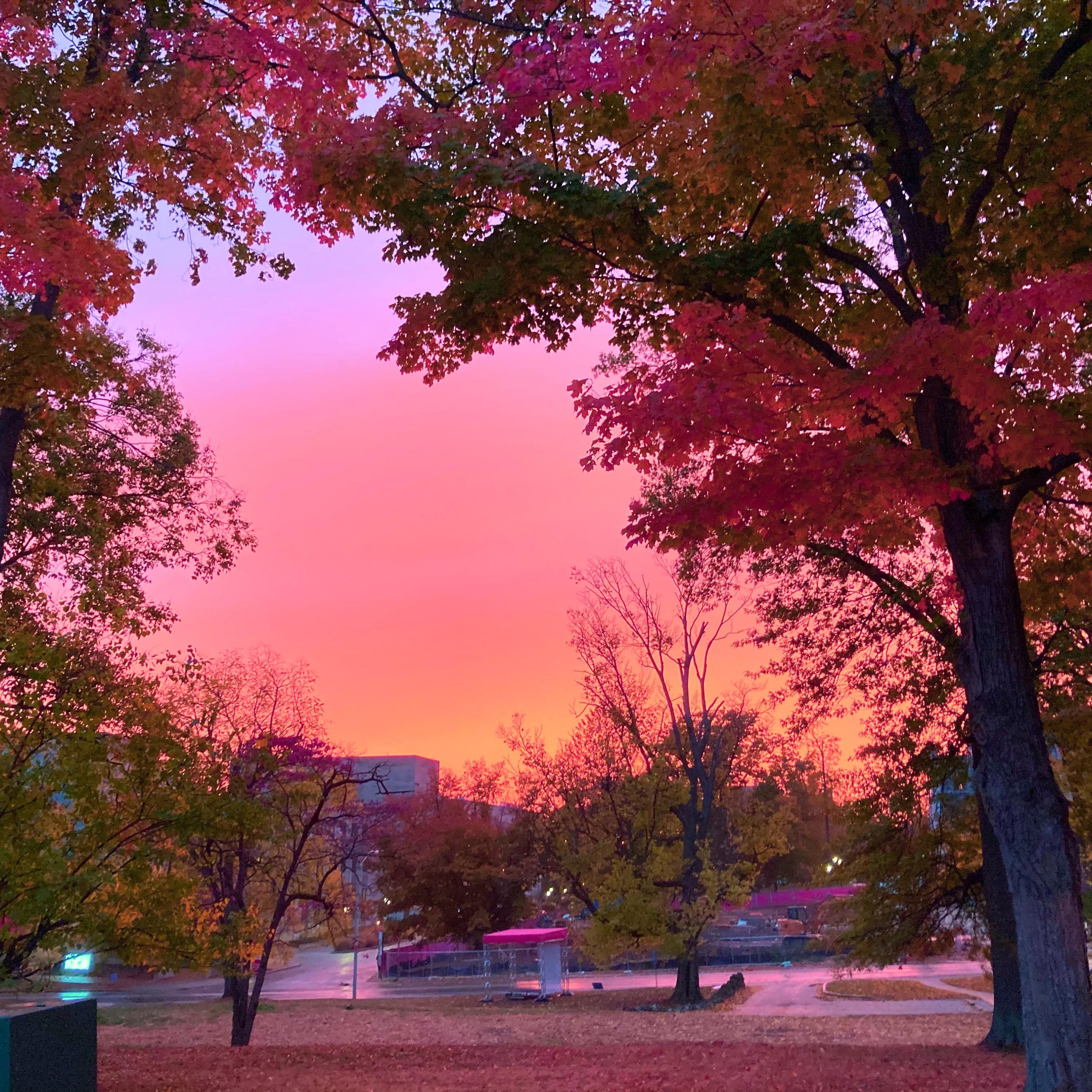 Highschool Tendencies