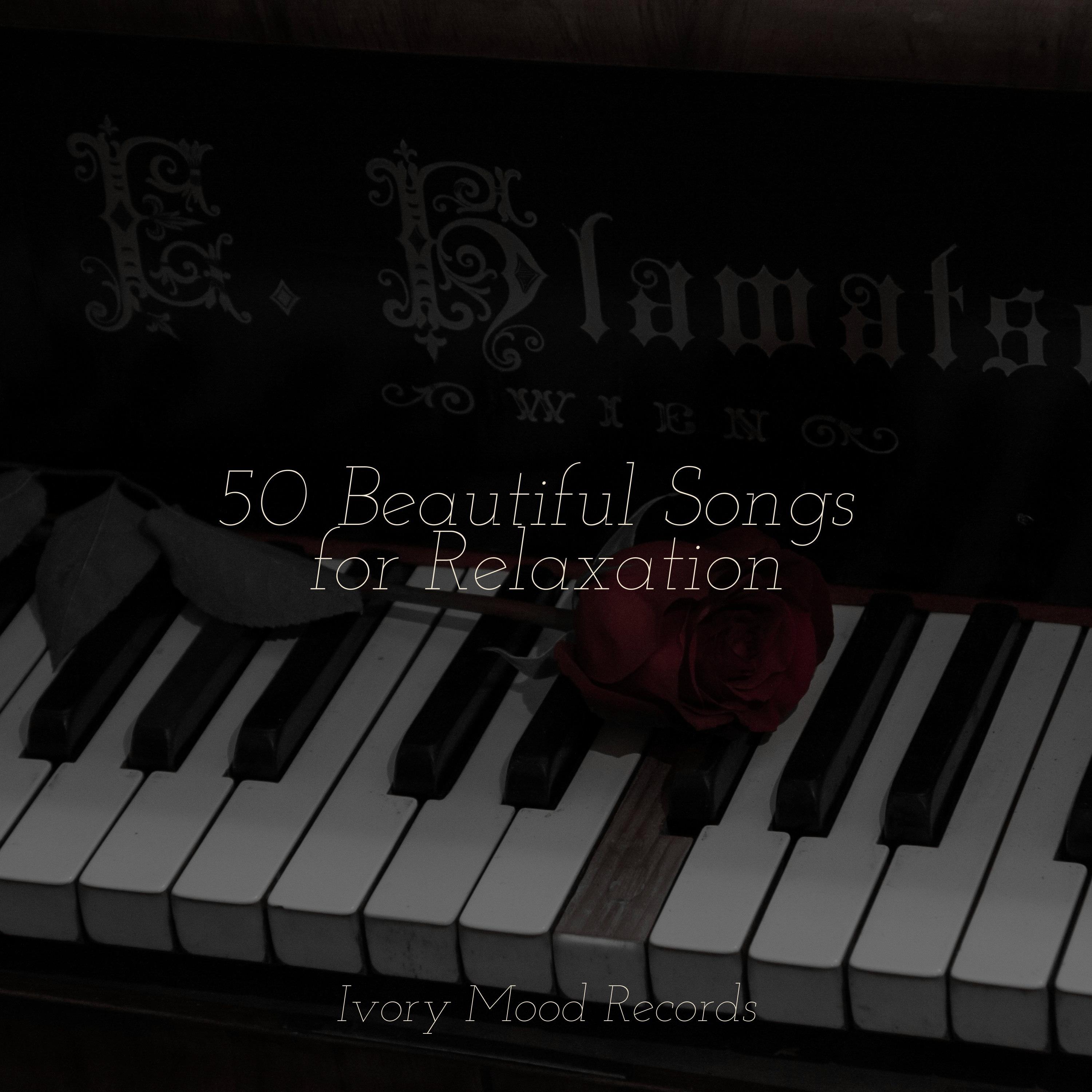 Musing in Moonlit Shadows_Música para Meditar y Relajarse_50 Beautiful Songs for Relaxation | 在线播放_Musing in Moonlit Shadows歌词_Musing in Moonlit Shadows下载 | 网易云音乐