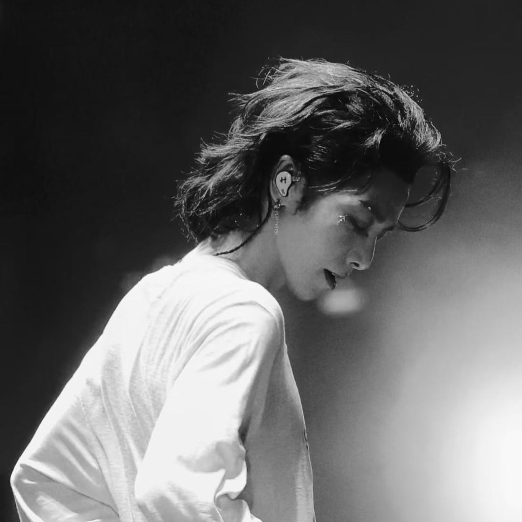 阿猫阿狗两只小乌龟