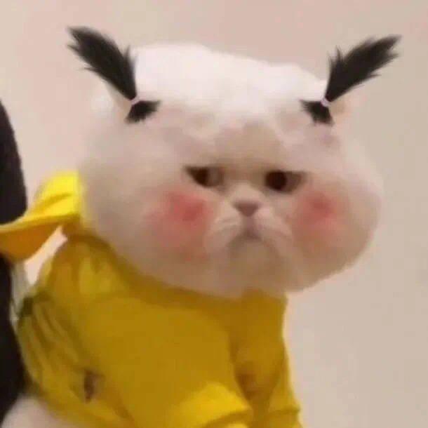 不知名追星人士