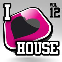 I Love House, Vol. 12