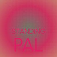 Standing Pal