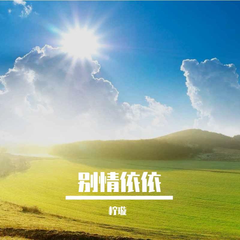 空窗映月封面