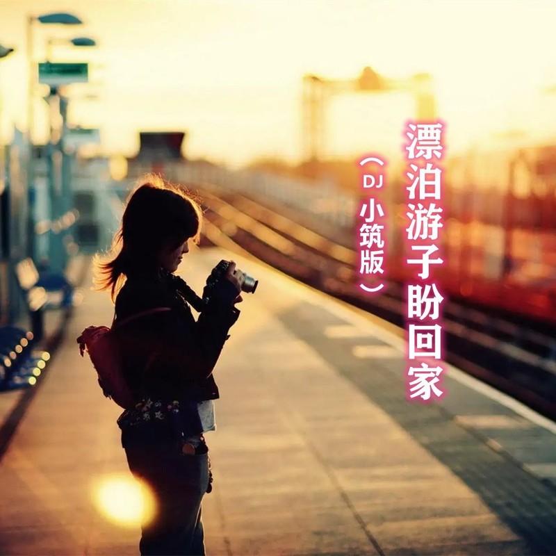漂泊游子盼回家DJ (伴奏)封面