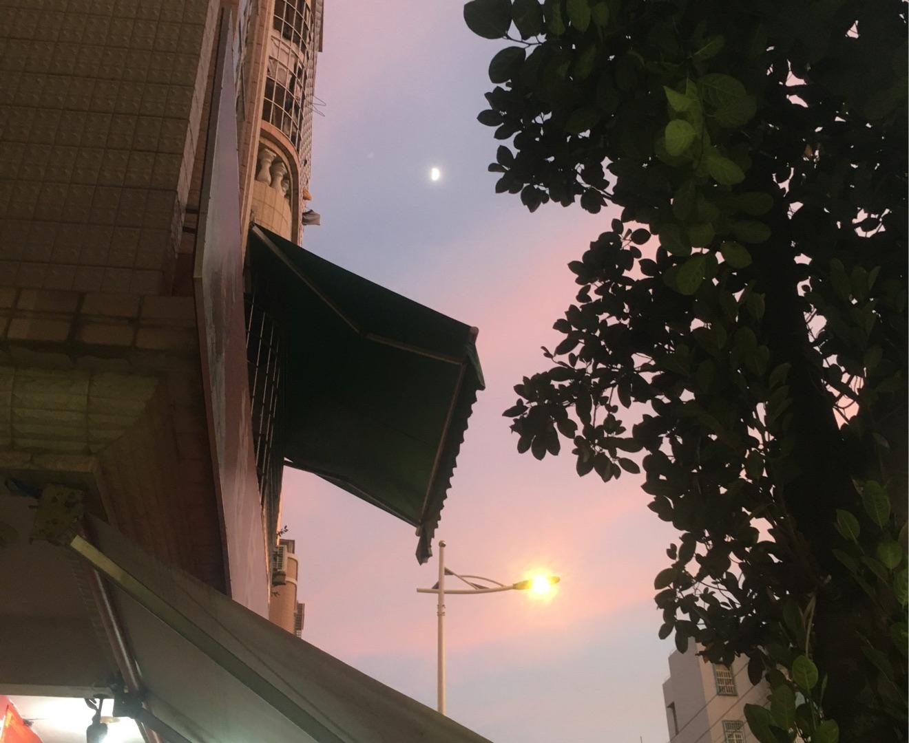 顾子欣
