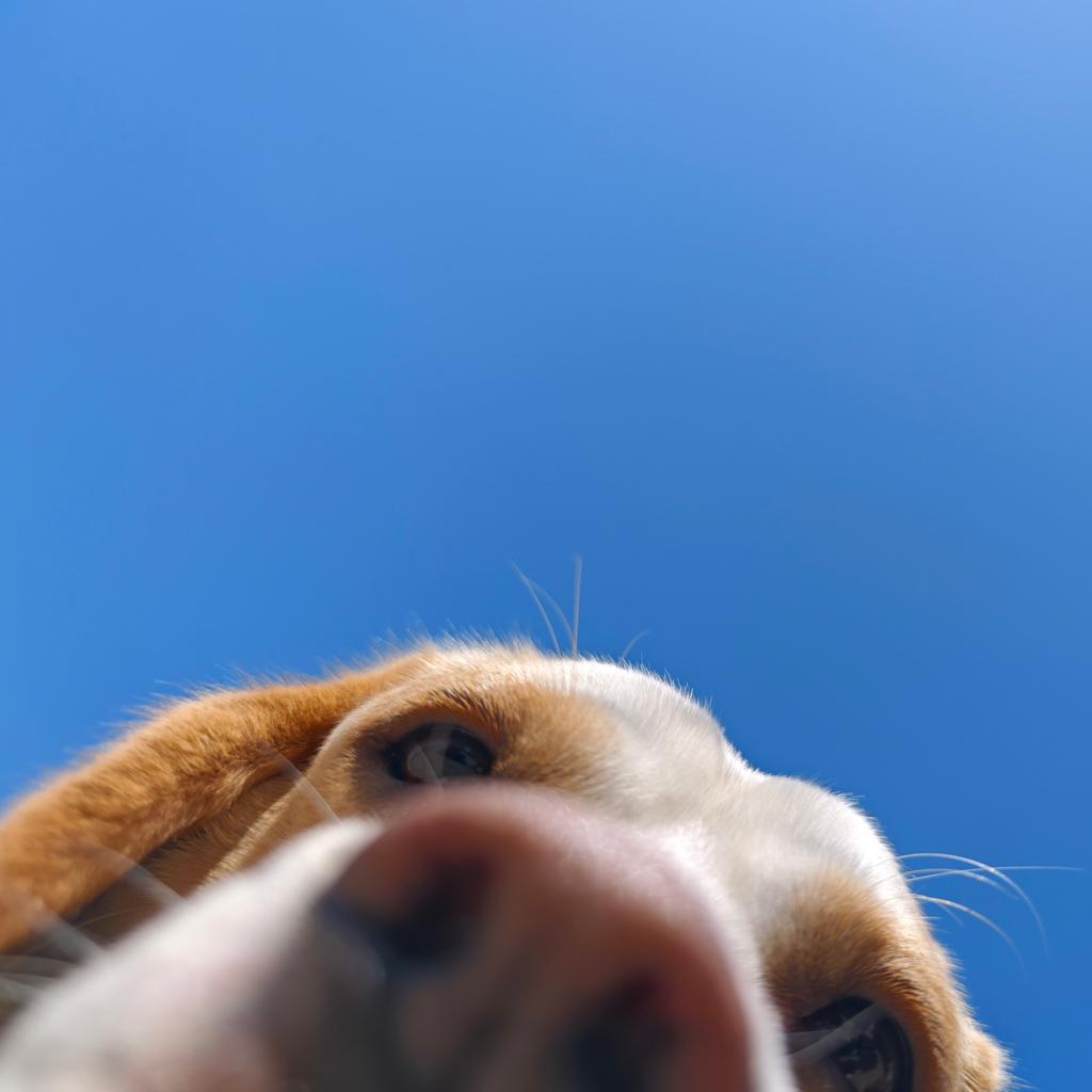 Chinese Football 演出散场歌单2024