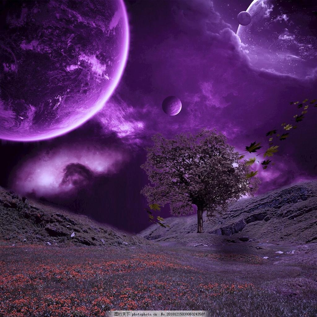 暴躁的兔子 江辰 XMASwu  呆呆破