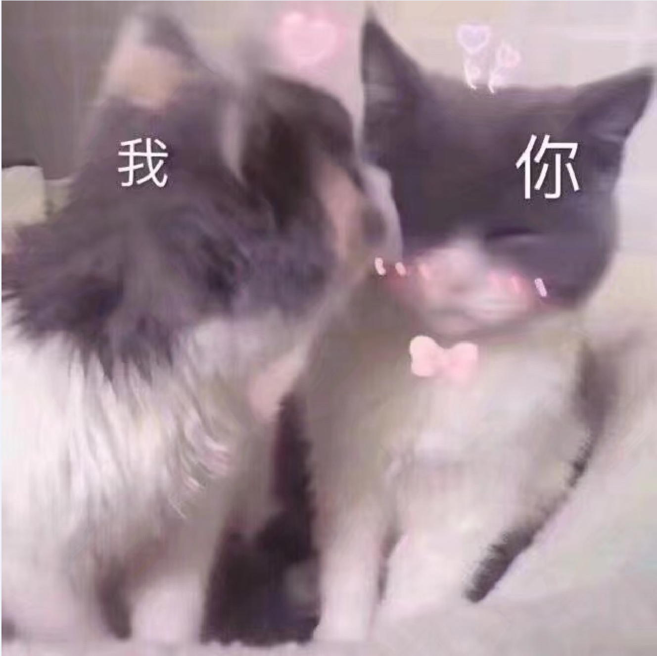 조으다 완전 조으다封面