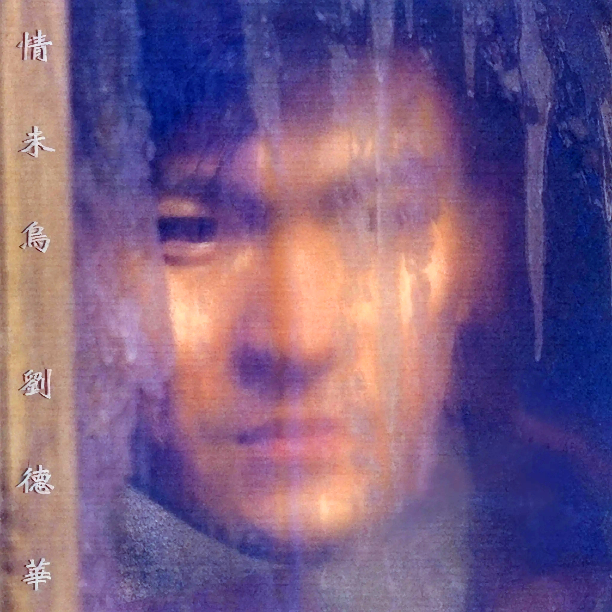 刘德华-《情未鸟》