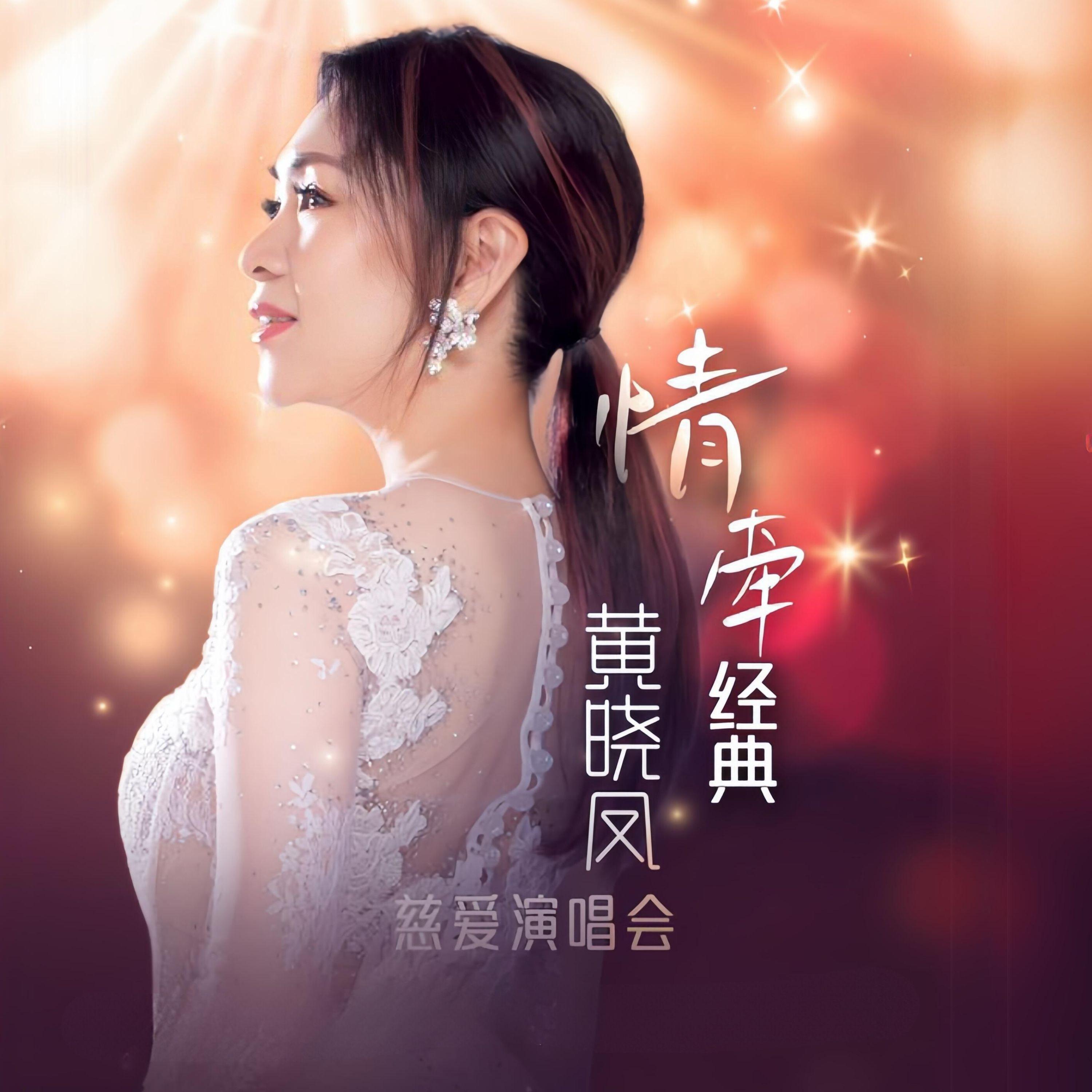 鲁冰花 (Live)封面