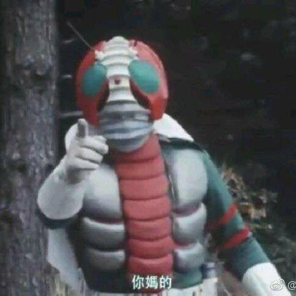 蕾塞的乡下老鼠