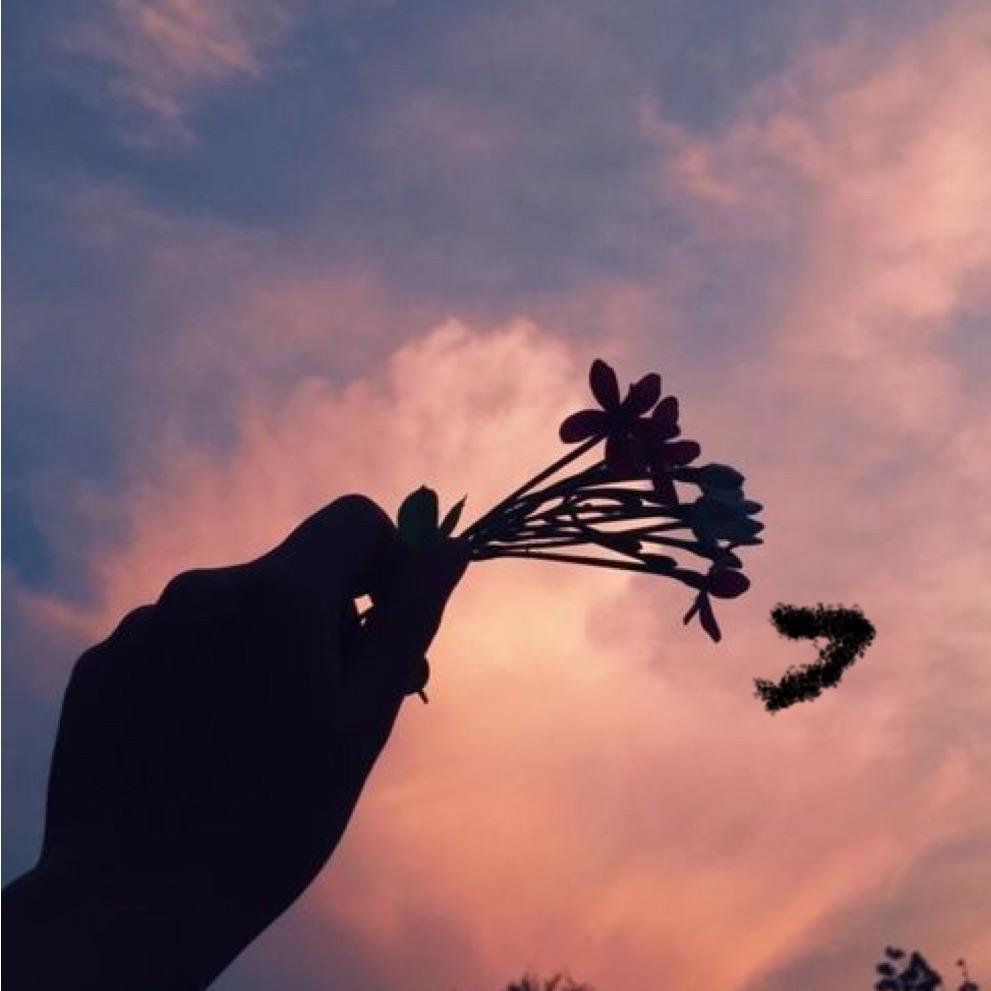我们都有各自不同的人生封面