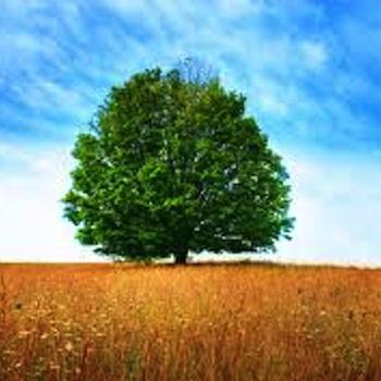 You're Pretty And I Like You_Pat Finnerty_Pretty and I like you (Pretty Blue) | 在线播放_You're Pretty And I Like You歌词_You're Pretty And I Like You下载 | 网易云音乐