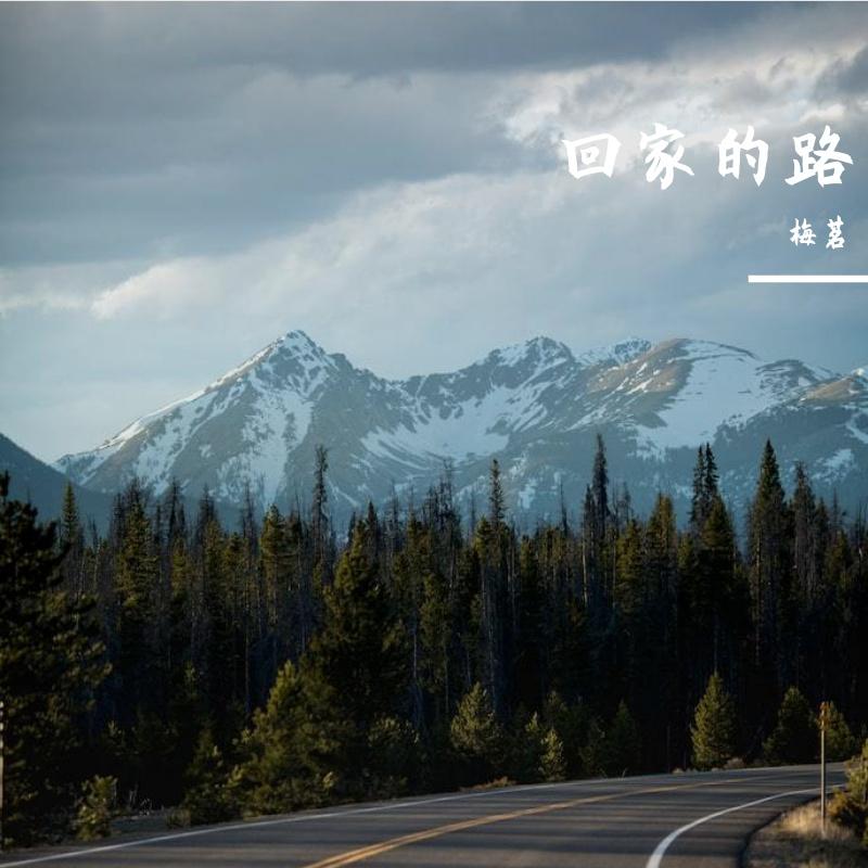 破碎的爱情封面