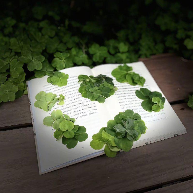 那些在dy火过的歌