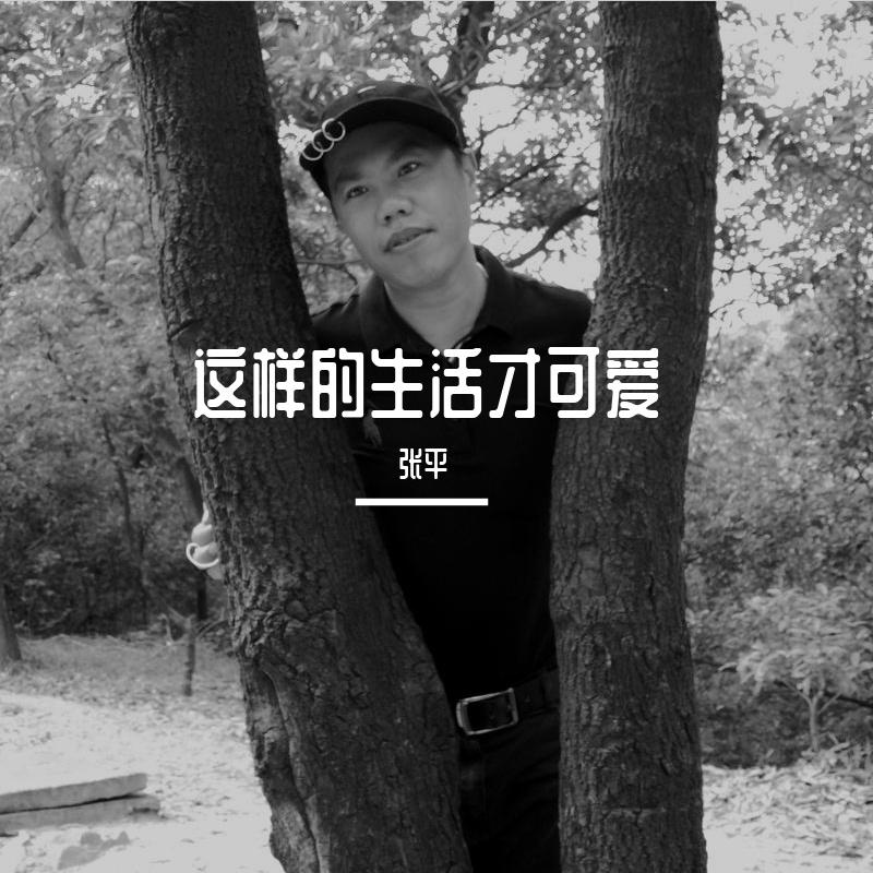 想你想你我真的好想你 （伴奏） - 张平封面