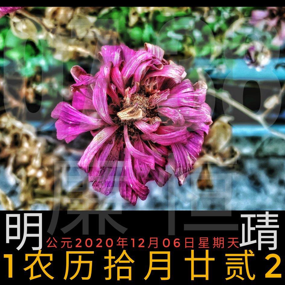 ※闐【明靕】廉日歌20201206——拾月廿贰12