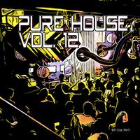 Pure House, Vol. 12