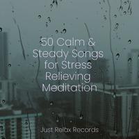 50 Calm & Steady Songs for Stress Relieving Meditation