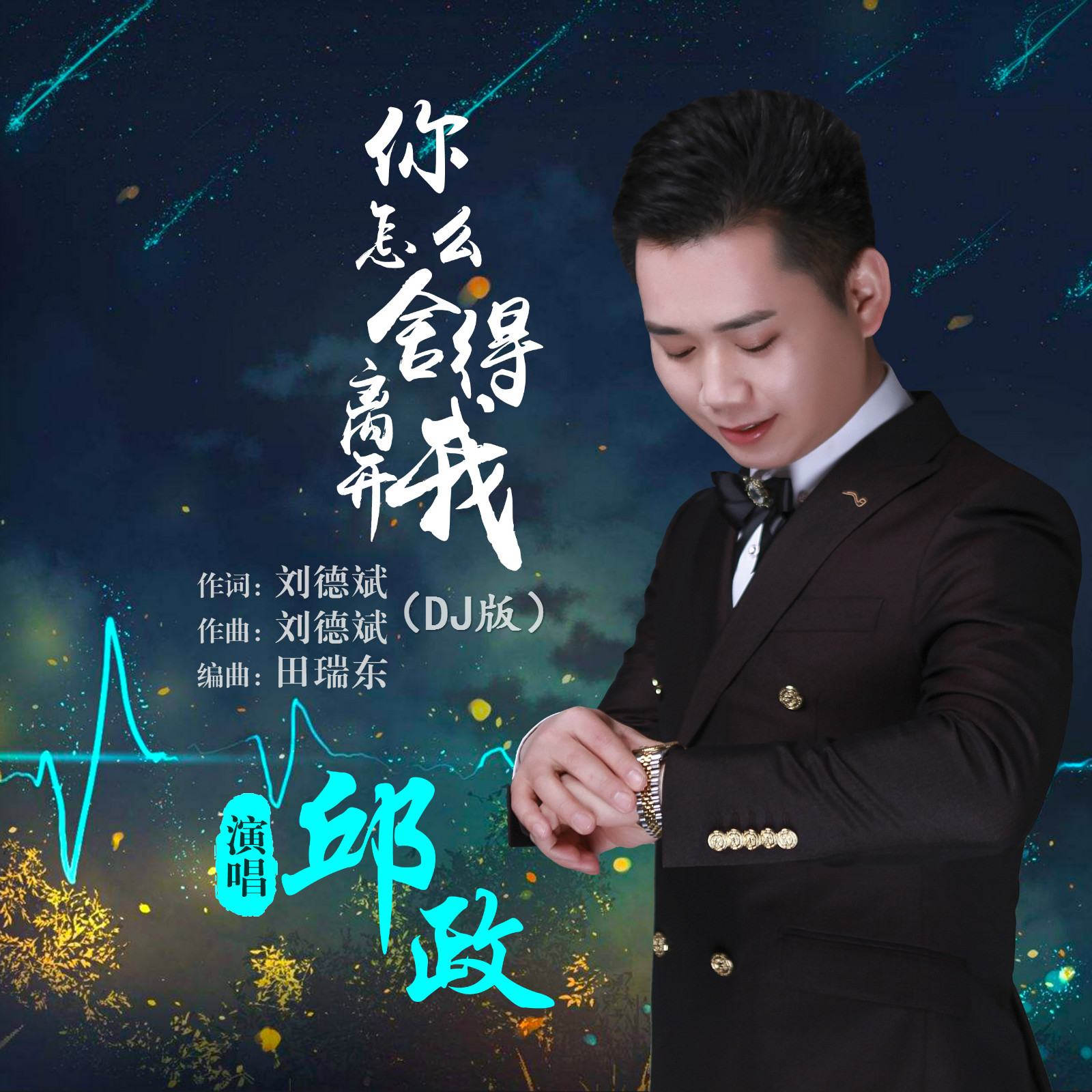 你怎么舍得离开我 (DJ版)封面