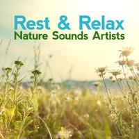 Rest & Relax Nature Sounds Artists