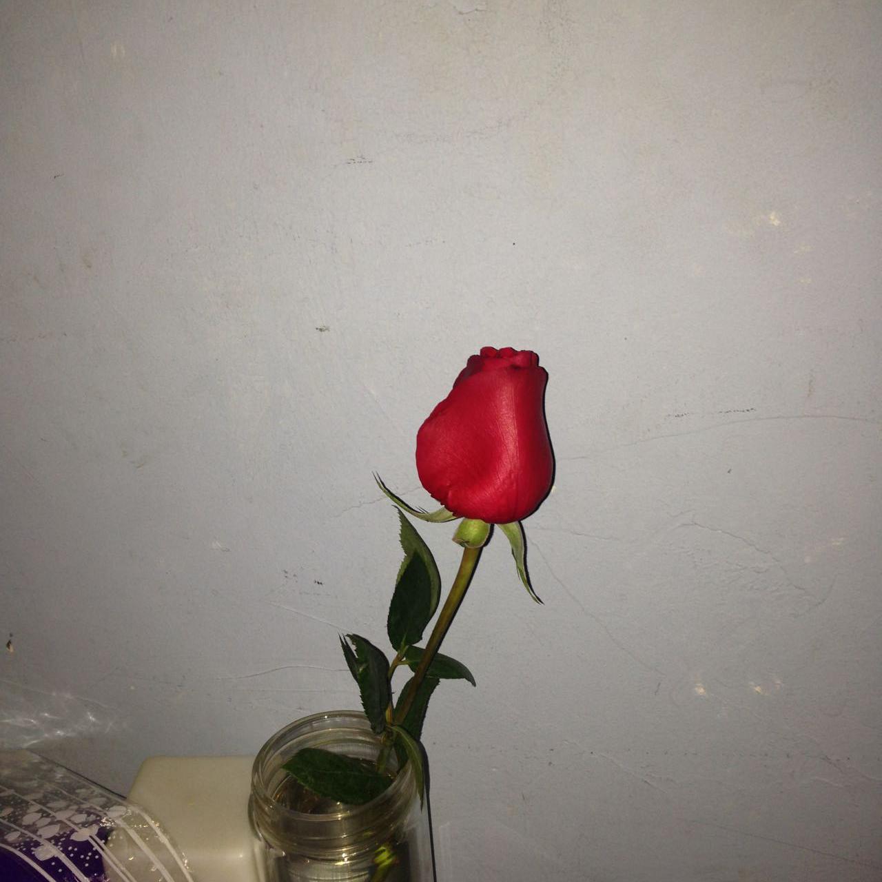 时间的伤封面