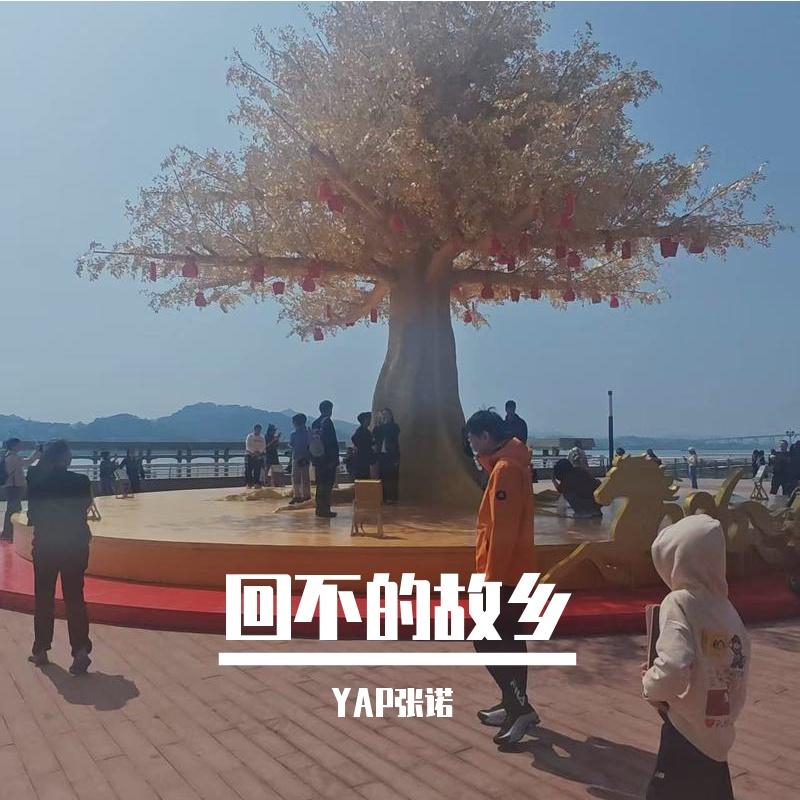 回不去了吗？ - YAP张诺封面