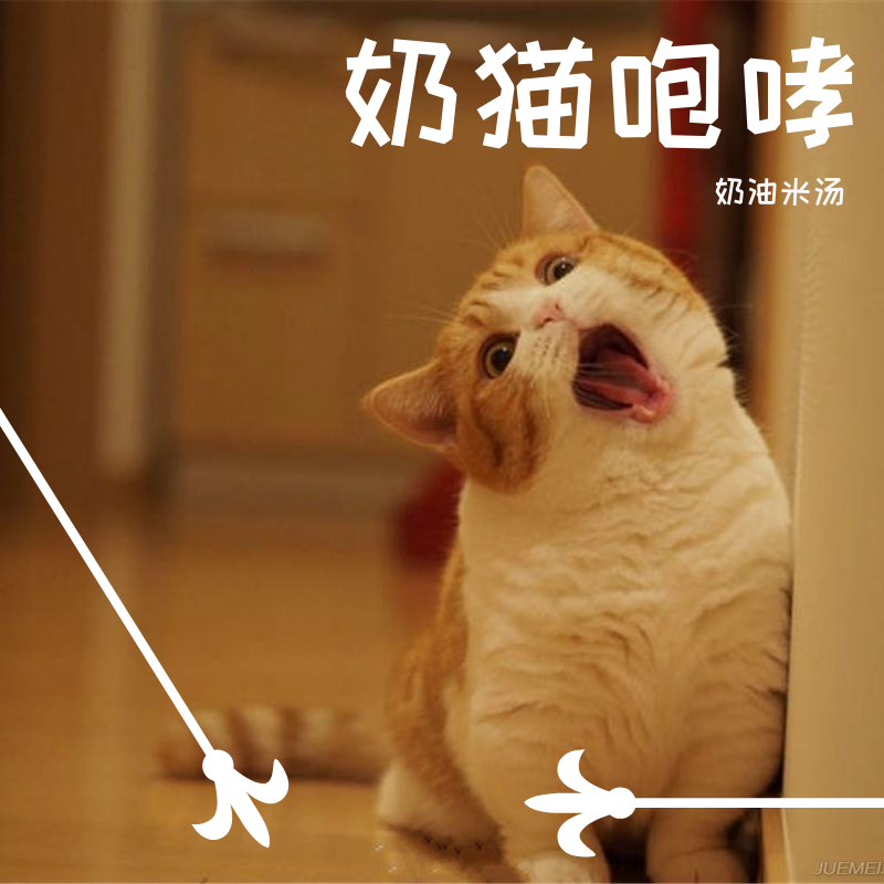 斑马，斑马 - 星星鱼会发光封面