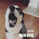许巍