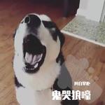 许巍