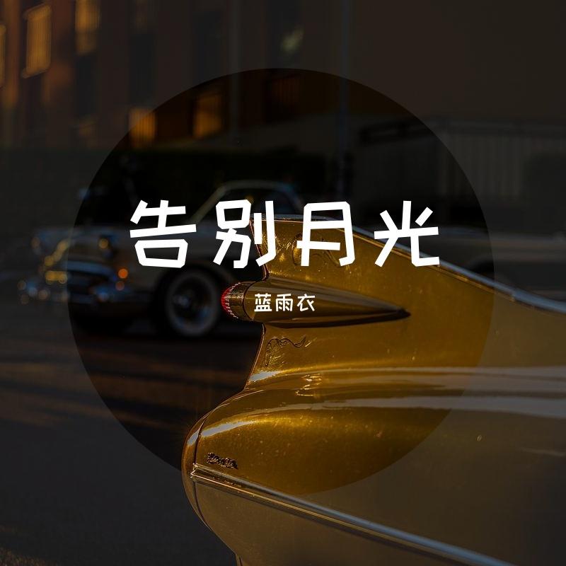 告别月光 - 蓝雨衣封面