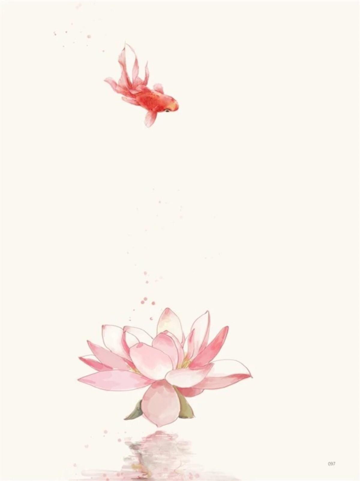 追光者（Cover 岑宁儿）