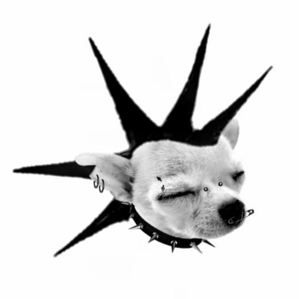 开心且痛苦的龙在鸣叫