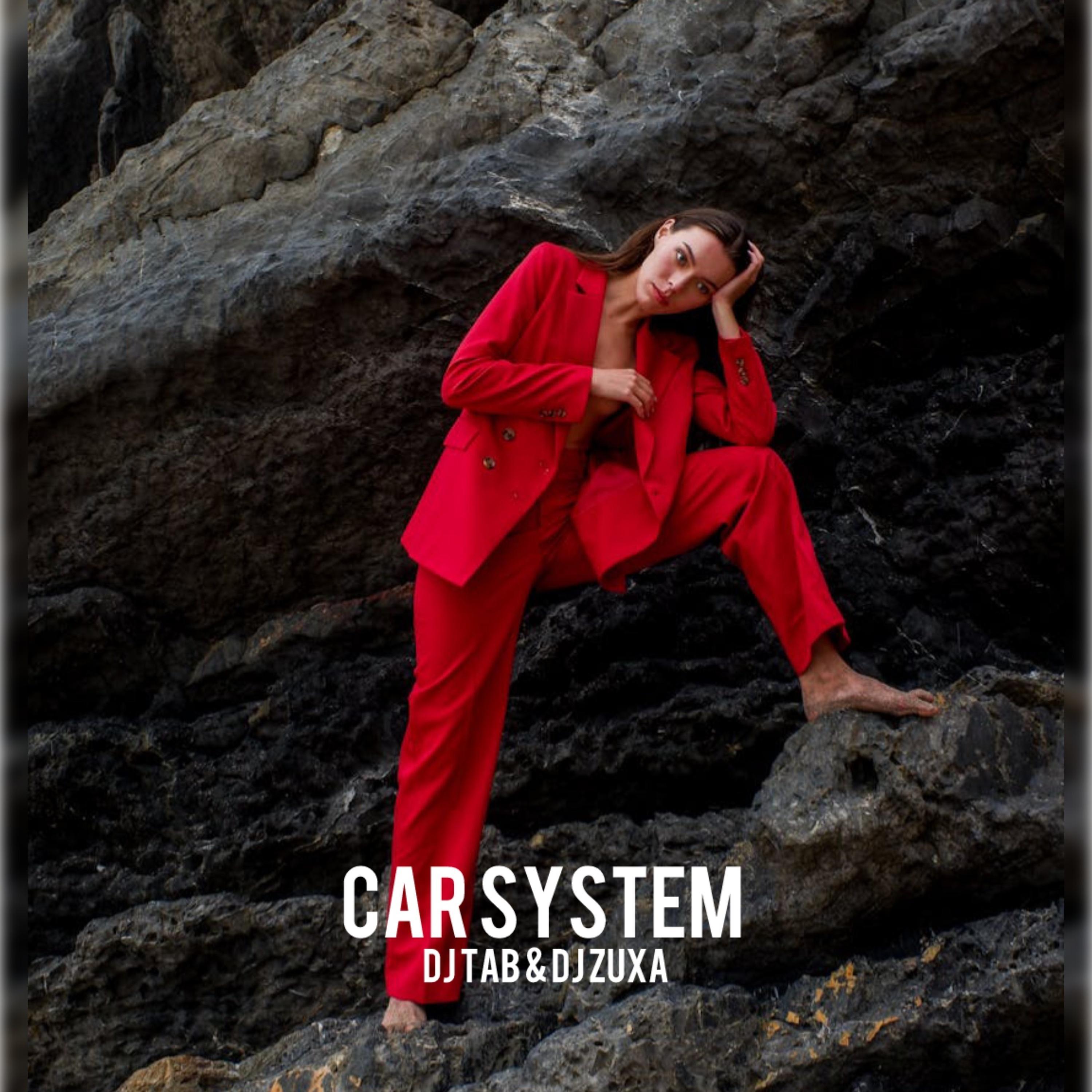 CAR SYSTEM