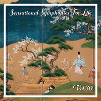 Sensational Symphonies For Life, Vol. 30 - Concertos Francais