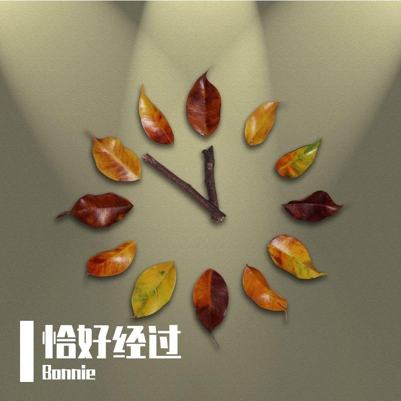 恰好经过 - Bonnie封面