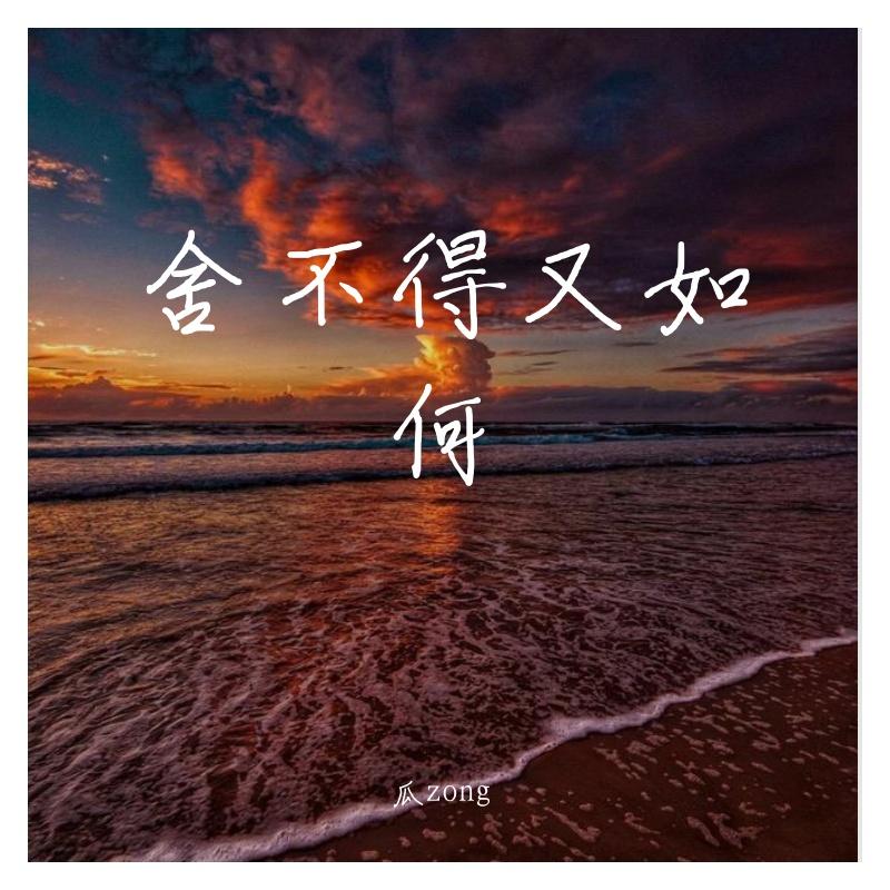 舍不得又如何(烟嗓版)封面