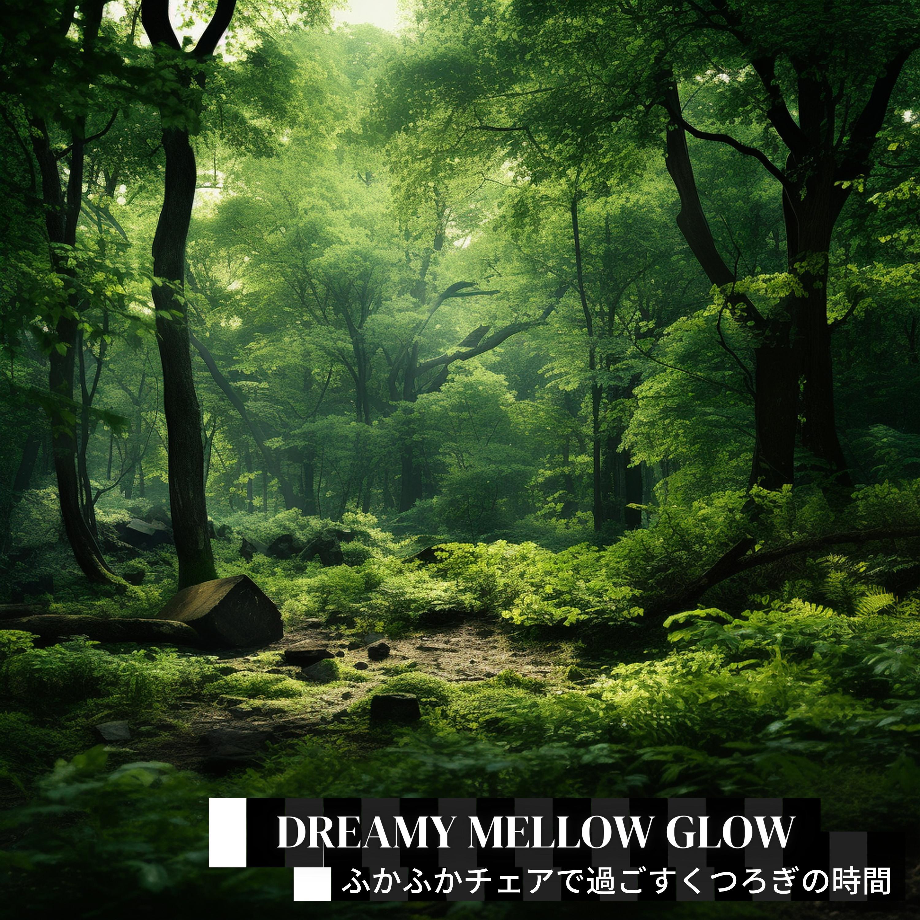 Quiet Contemplation Voyage