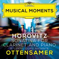 Horovitz: Sonatina for Clarinet and Piano: II. Lento, quasi andante (Musical Moments)