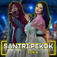 Santri Pekok