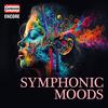 Vienna Symphony Orchestra - Peer Gynt Suite No. 2, Op. 55:IV. Solveig's Song