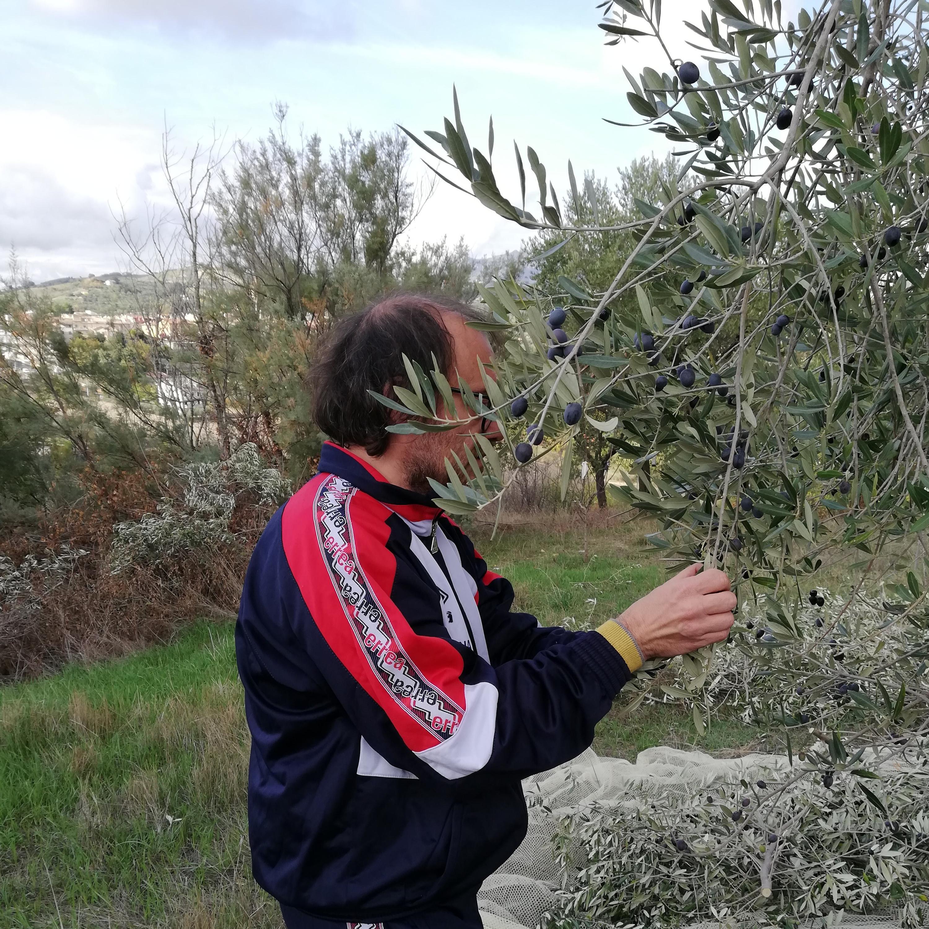 Summertime and the Living is Creepy