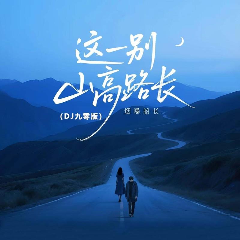 这一别山高路长 (DJ九零版)封面