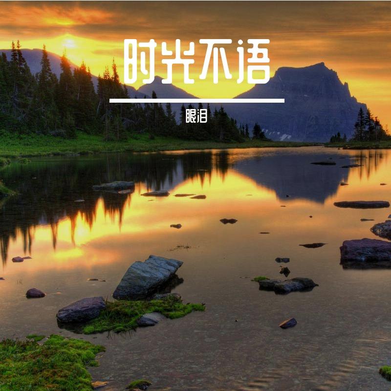 星落人间封面