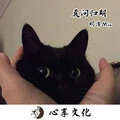 试试看 (DJ版)封面