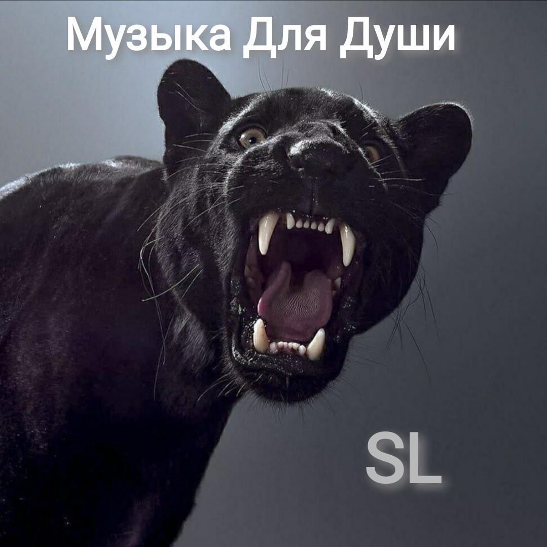 Музыка Для Души (Remix)