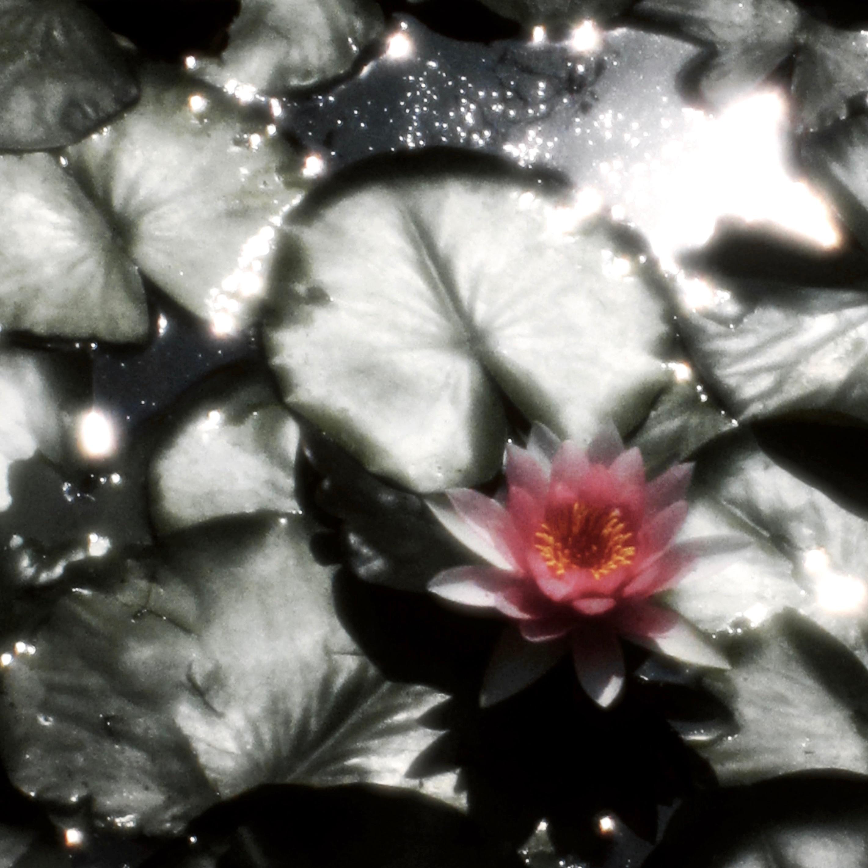 Satin Luv（钦卿）