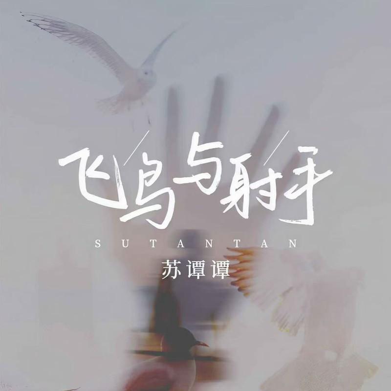 飞鸟与射手(DJ伴奏版) - 苏谭谭封面
