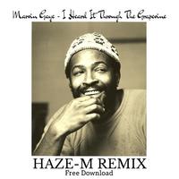 I Heard It Through The Grapevine (Haze-M Remix)